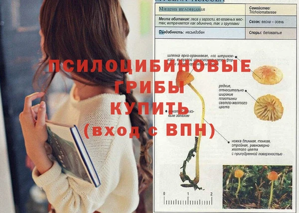 винт Бородино